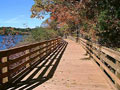 Along Boardman Lake